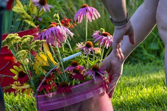 From Garden to Vase: Spring Flowers