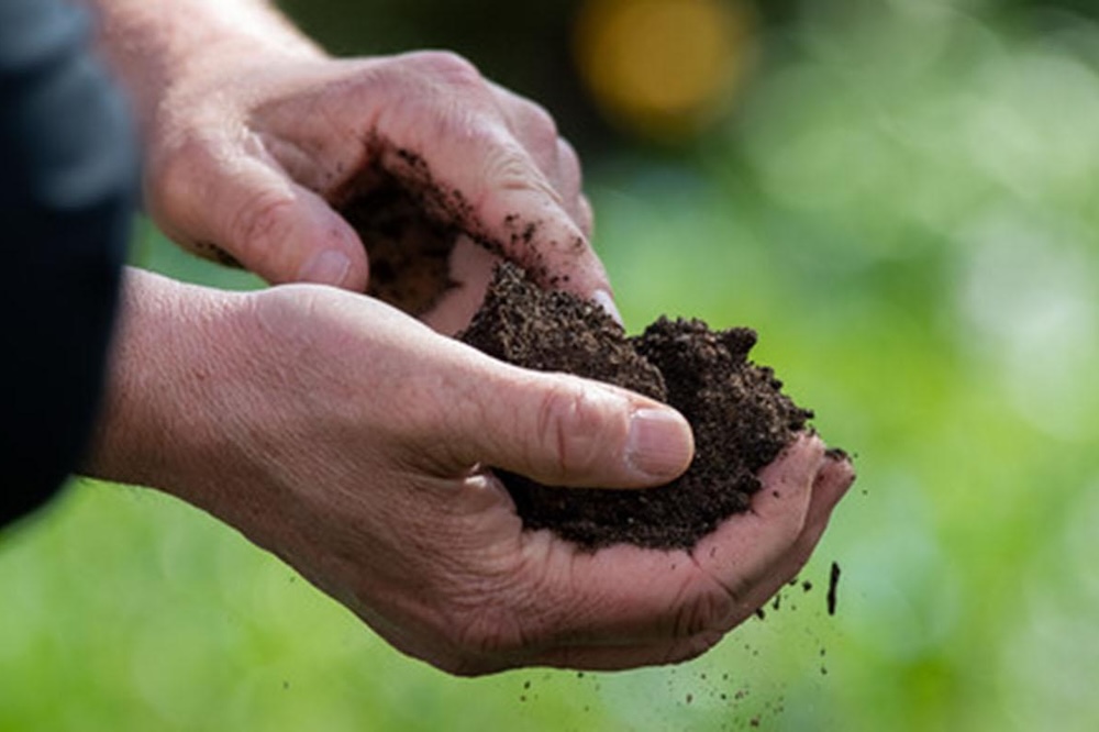Soil, the Mystery Under Our Feet