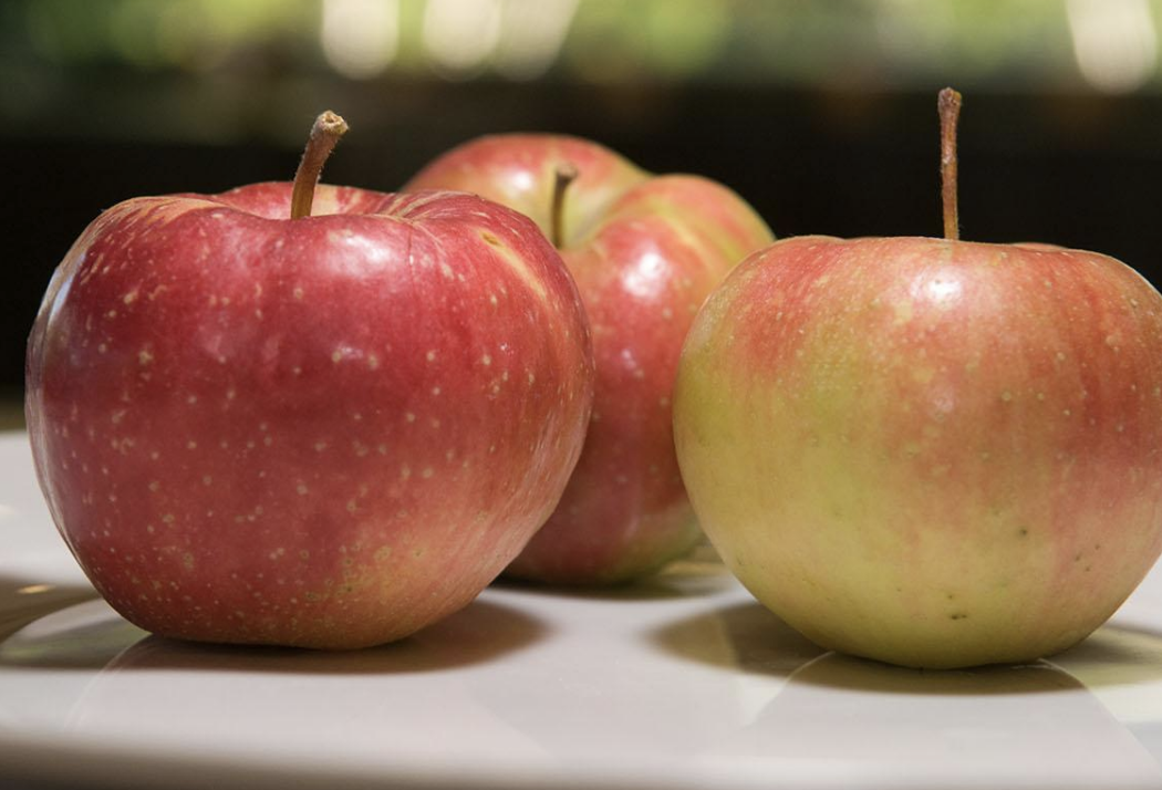 Demonstration Cooking: Sweet and Savory Apples