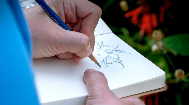 Botanical Drawing 1: Online