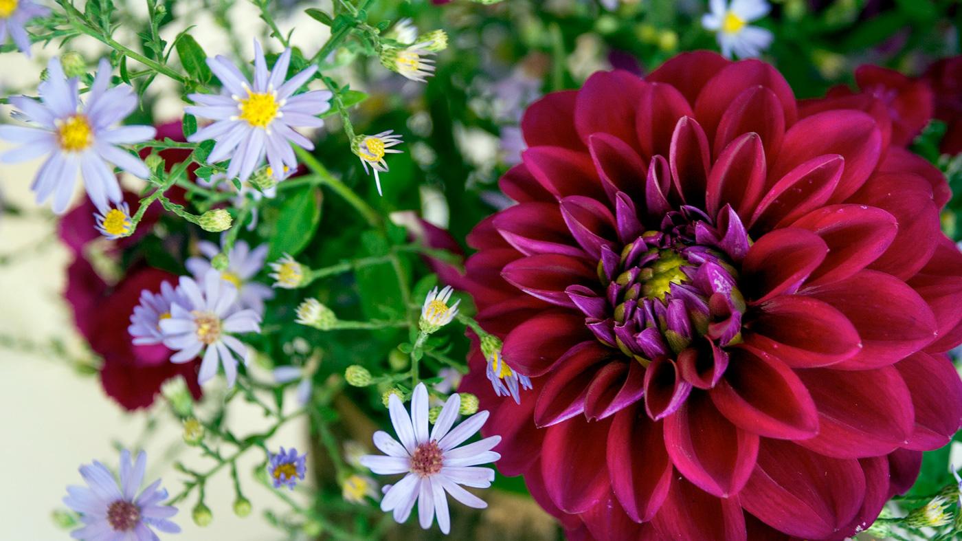 Arranging Store-Bought Bouquets: Online