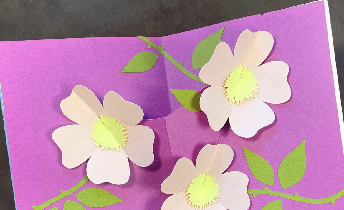 Pop-Up Paper Flower Card Workshop