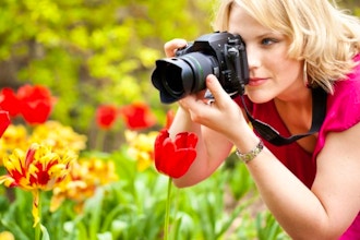 Professional Practices in Photography