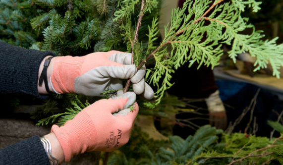 Summer Containers at the Garden