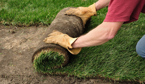 Preparing Your Lawn for Fall