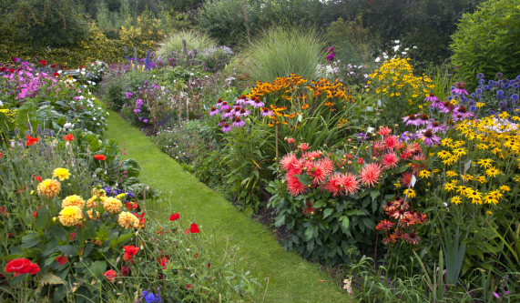 Herbaceous Perennials Horticulture Classes Chicago Coursehorse