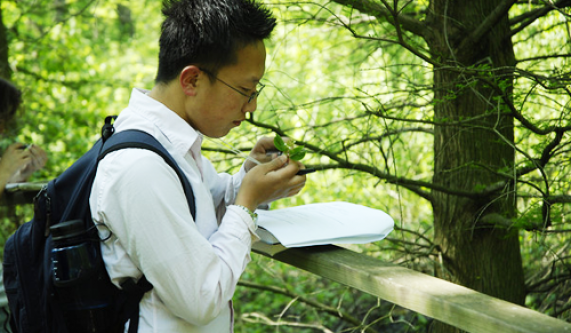 Pine Bonsai Workshop