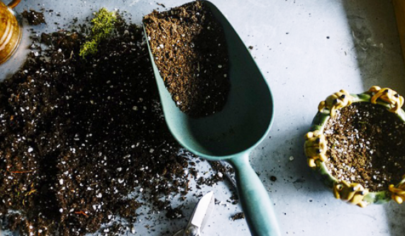Composting at Home: On-site