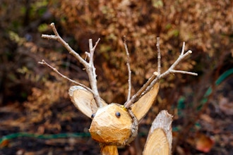 Holiday Willow Workshop: Reindeer