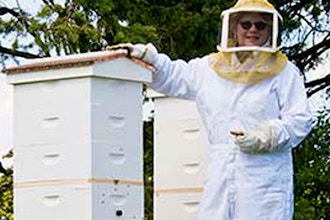 Beginning Beekeeping Workshop
