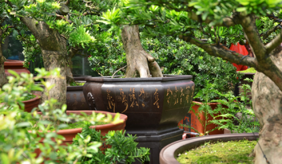 Spring Containers at the Garden