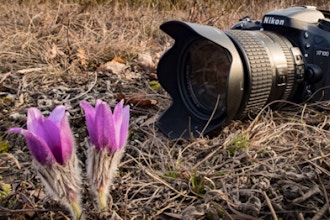 How to Make a Living as a Nature Photographer