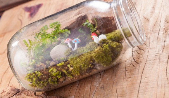 Glass Jar Terrarium Workshop