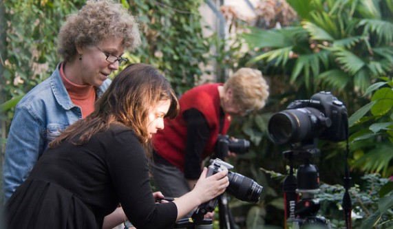 Creative Fine Art Digital Photography for Beginners