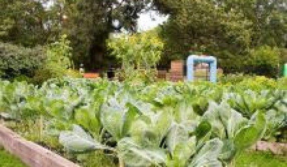 Crop Planning