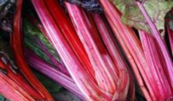 Hands-on Cooking: All About Rhubarb