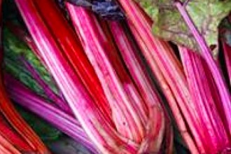 Hands-on Cooking: All About Rhubarb