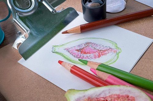 What are the best books for colour pencil drawing? - Quora