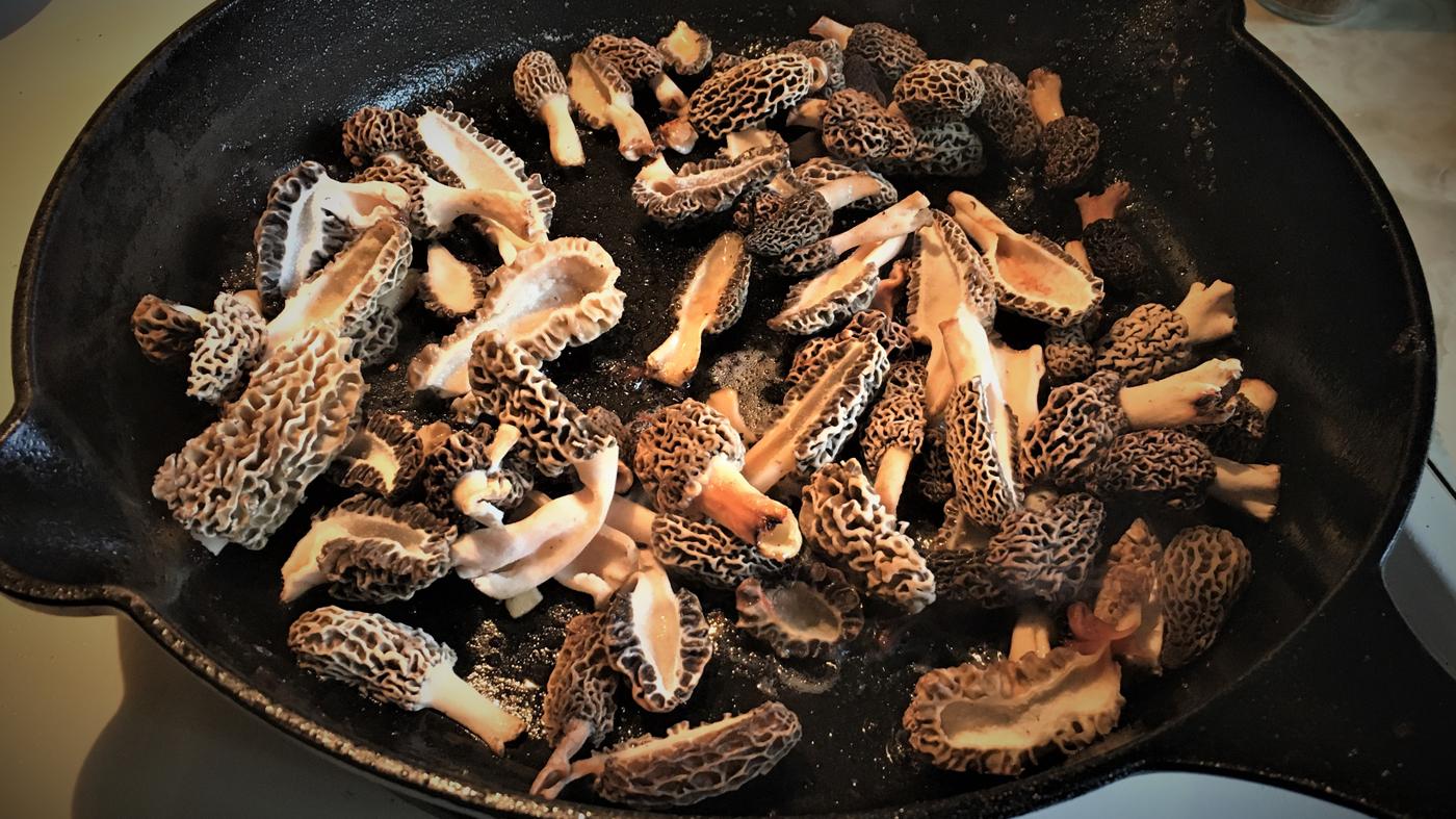 Demonstration Cooking: Wild Mushrooms