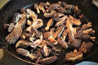 Demonstration Cooking: Wild Mushrooms
