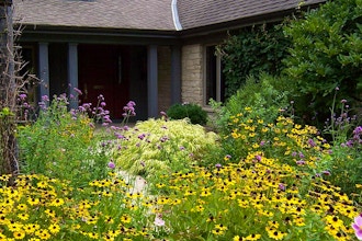 Cottage Garden Designs