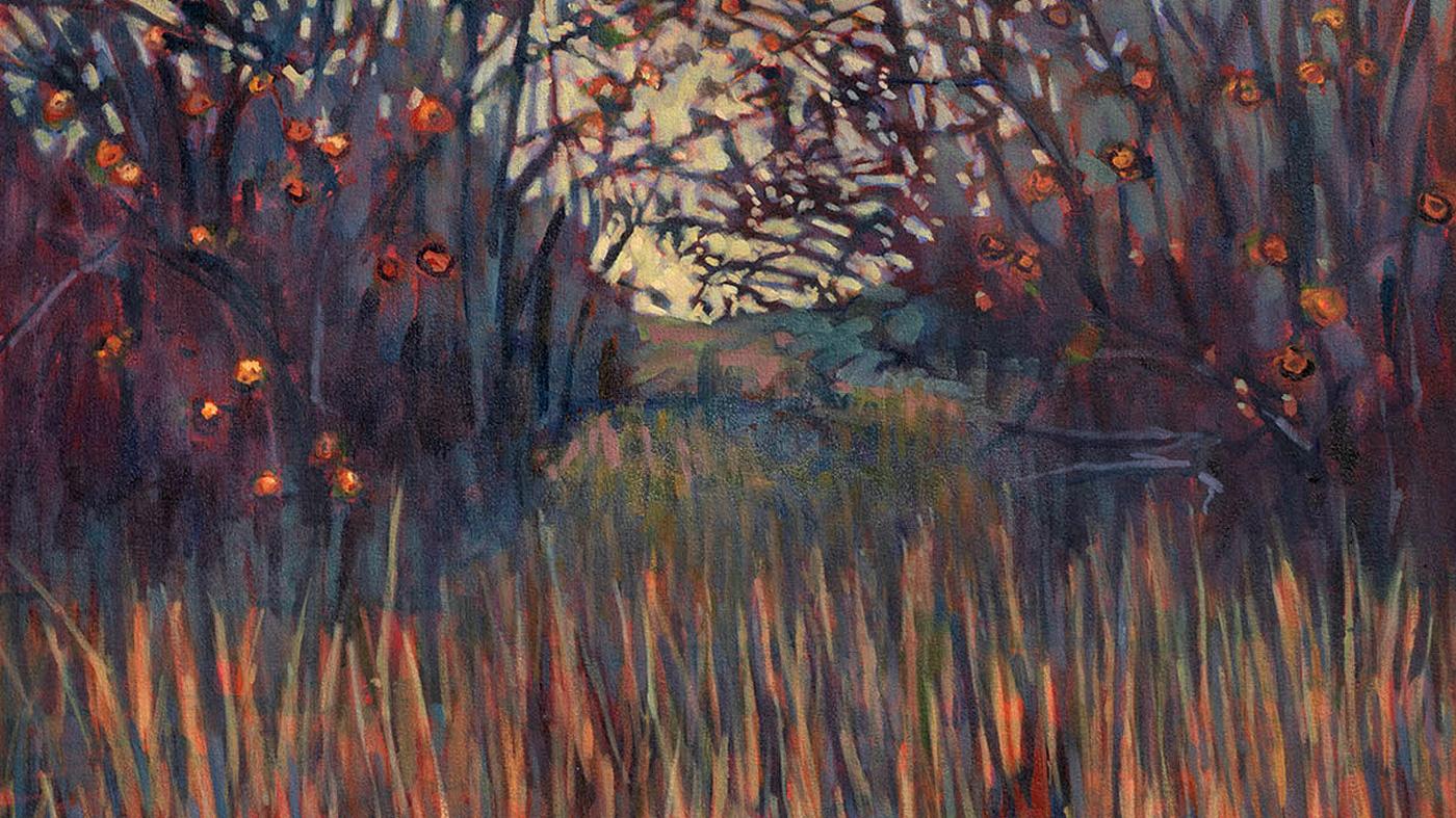 Deconstructing Color in Nature