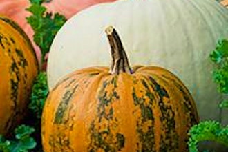 Demo Cooking: Easy Thanksgiving Sides