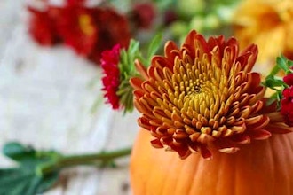 Thanksgiving Pumpkin Floral Arrangement