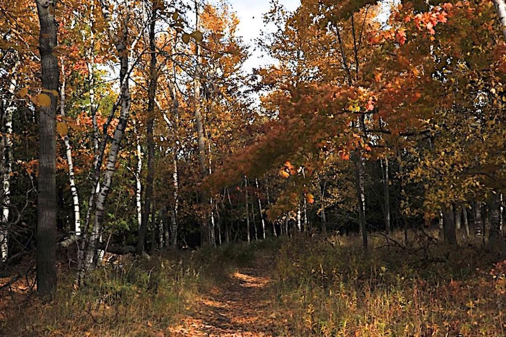 Photographing Nature: State Parks