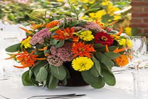 Flower Arranging for Beginners
