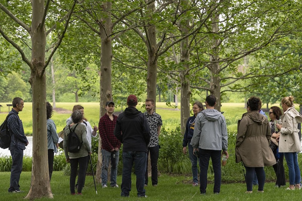 Forest Bathing Walk