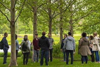 Forest Bathing Walk