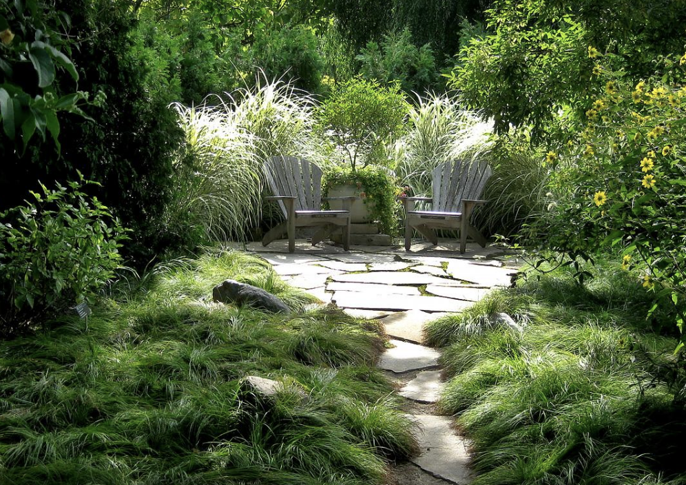 Designing Narrow Garden Spaces: Online