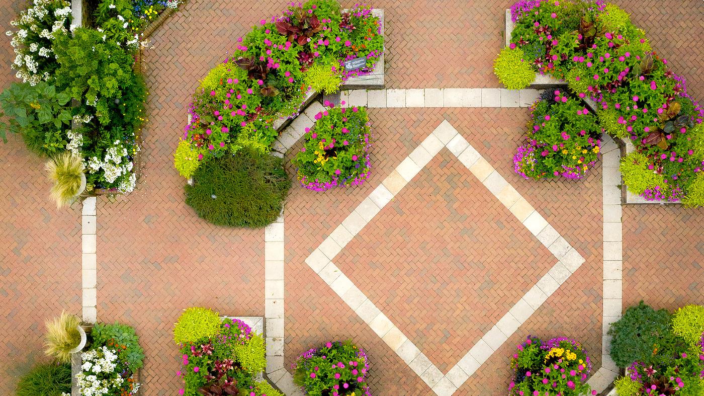 Residential Planting Design: Online