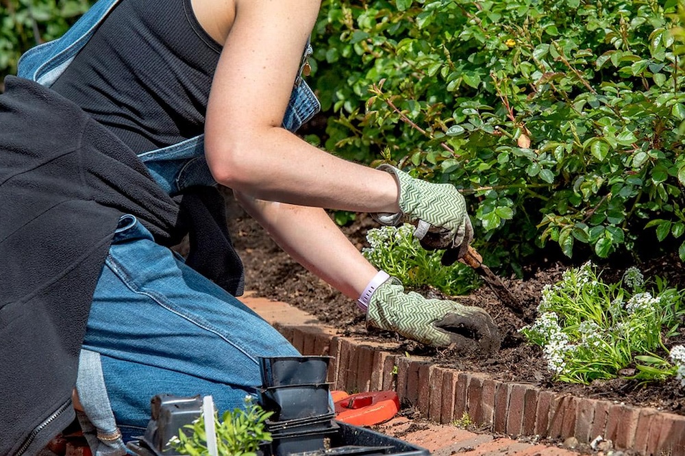 Hands-on Gardening: Mulching and Edging