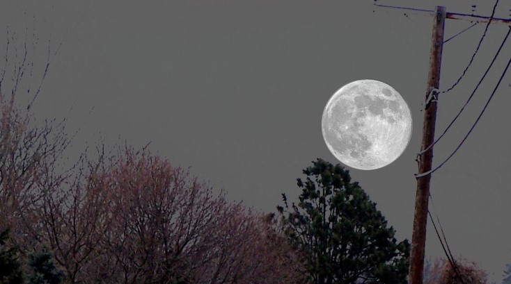 Optical Illusions and the Moon Illusion