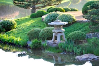 Japanese Garden Plein Air Painting