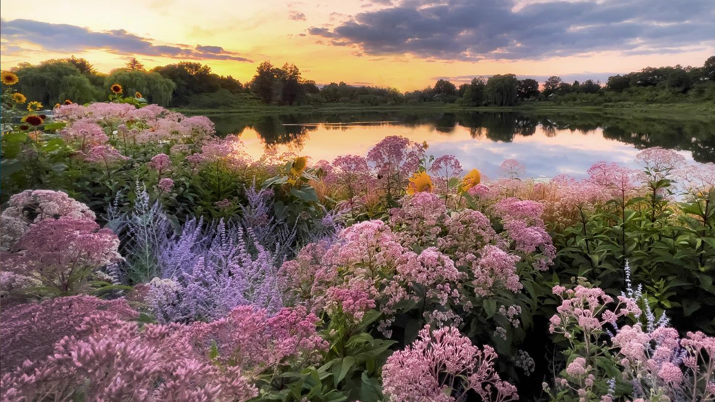 The Landscape in Pastel