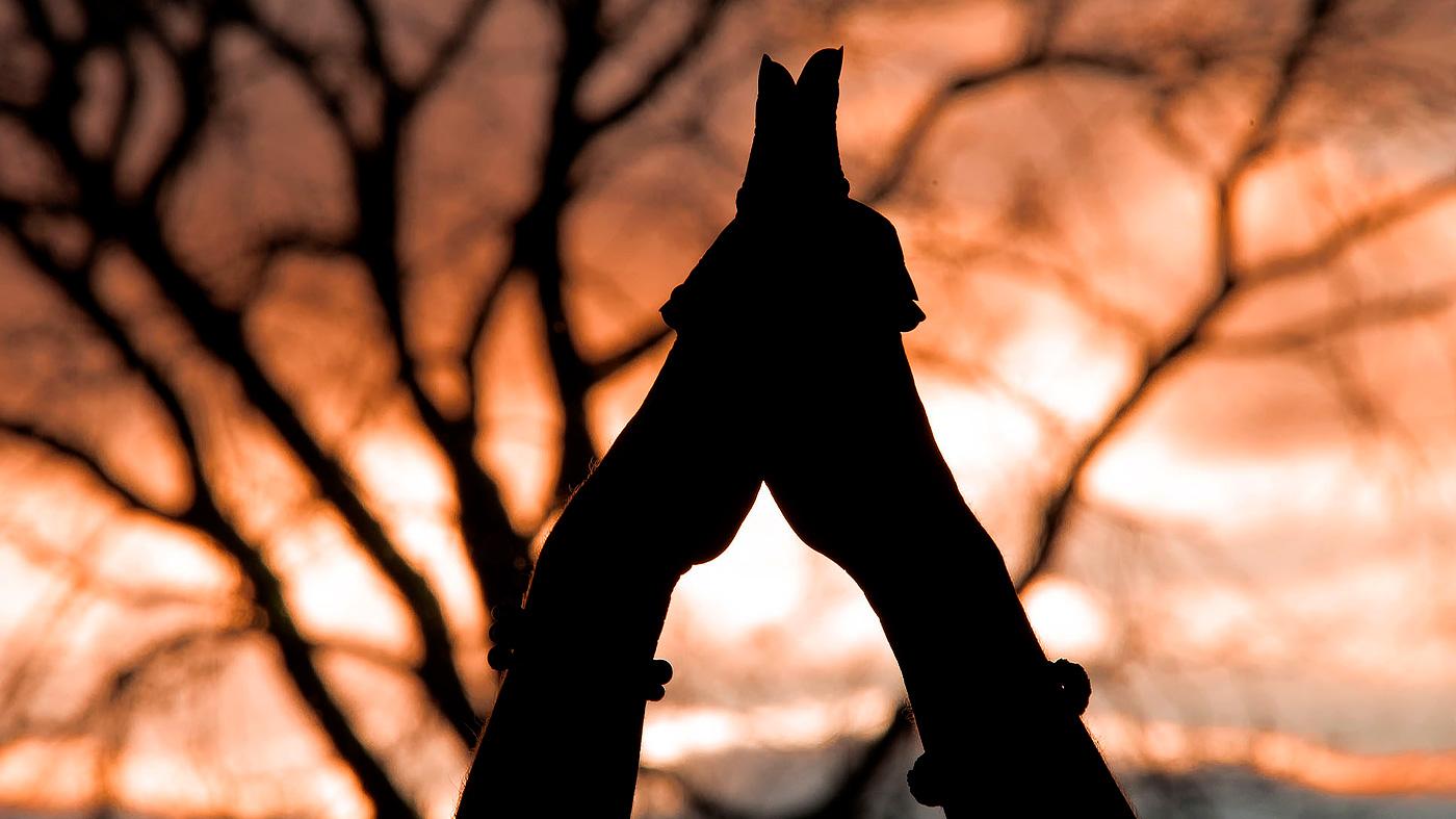 Explore Mindfulness & Meditation