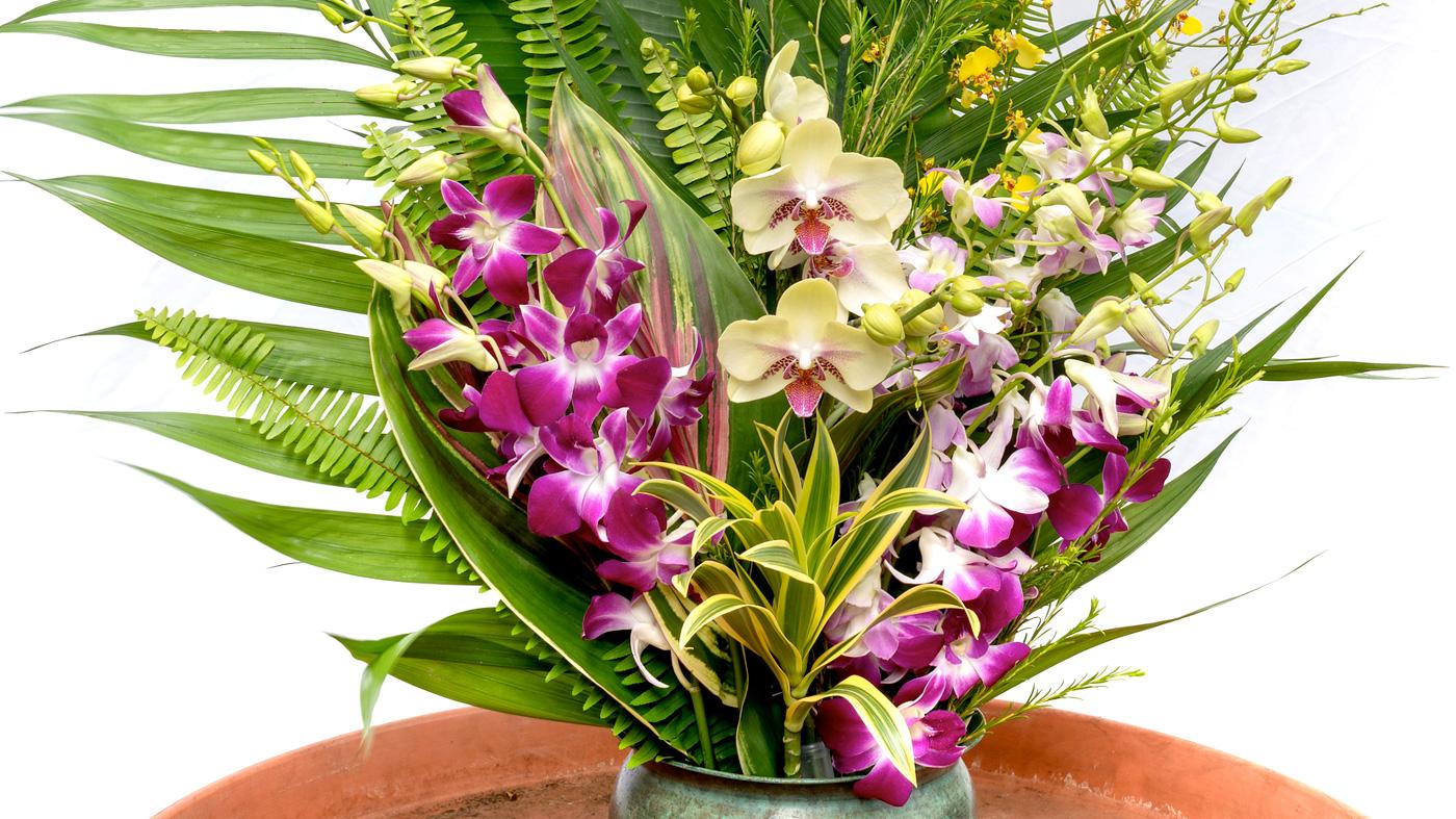 Valentine's Day Orchid Centerpiece