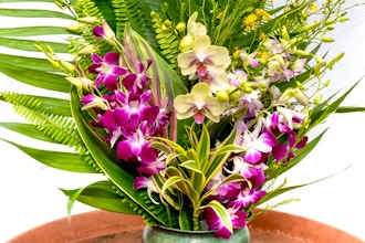 Valentine's Day Orchid Centerpiece