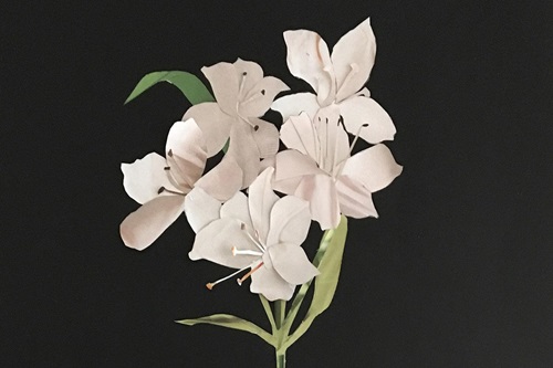 Orchids in Cut Paper