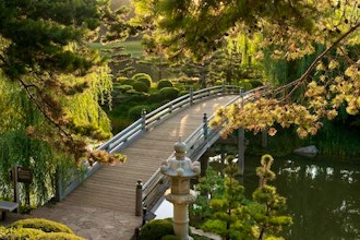 Photographing Bridges of the Garden