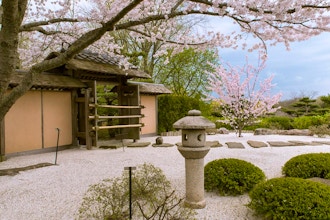 Photography: Japanese Islands in Spring