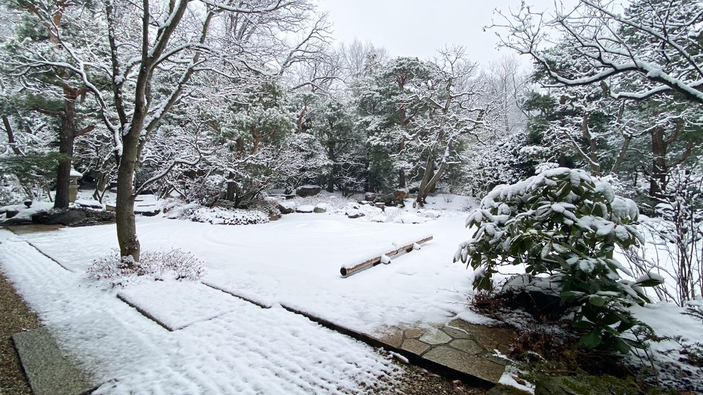 Winter in Black & White Photography