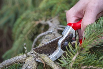 End-of-Season Pruning Workshop