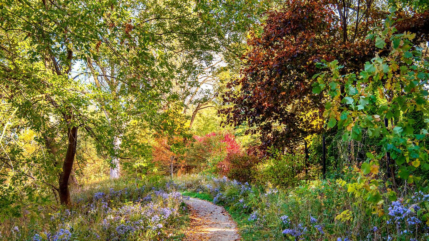 Seasonal Tree Walk