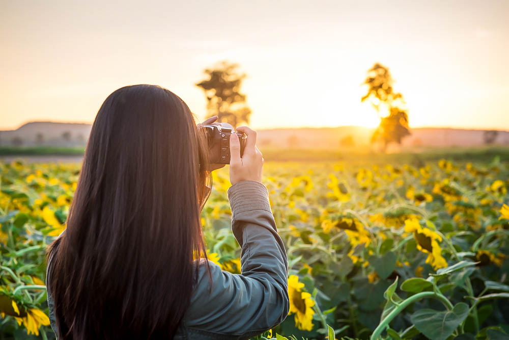 Photographing Signs of Spring