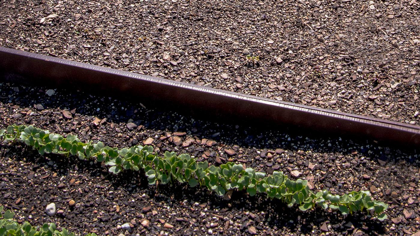 Soil Basics