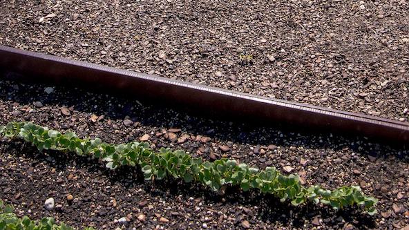 Soil Basics, Intensive Session